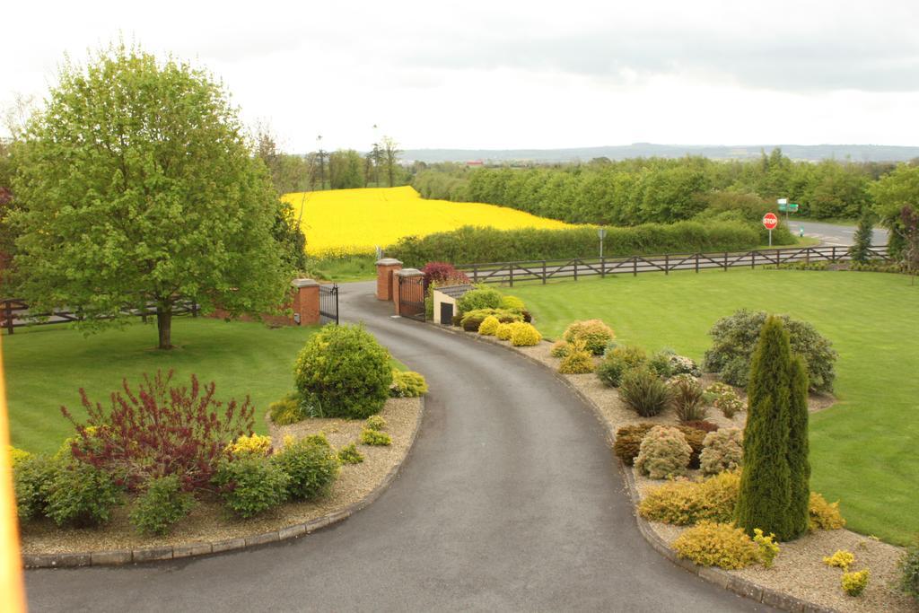 Woodview B&B Ardee Bagian luar foto