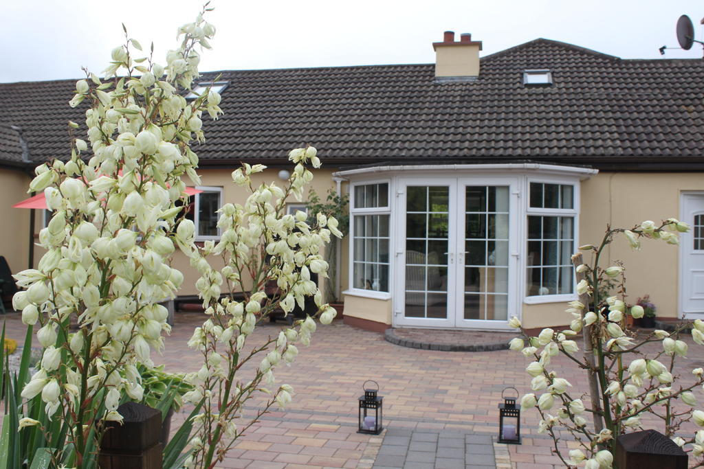 Woodview B&B Ardee Bagian luar foto